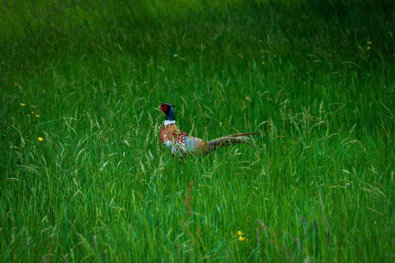 This Massive Canal Between the U.S. and Mexico Sounds Amazing &#8211; Until You See the Hidden Costs