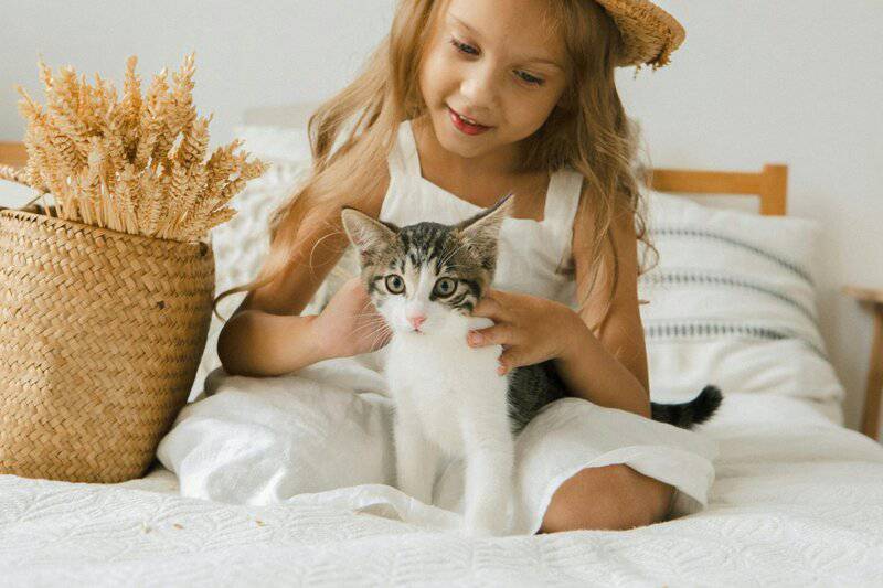Exploring the Most Family-Friendly Cat Breeds for New Pet Owners