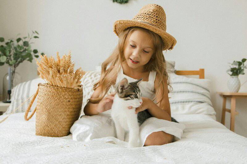 Exploring the Most Family-Friendly Cat Breeds for New Pet Owners