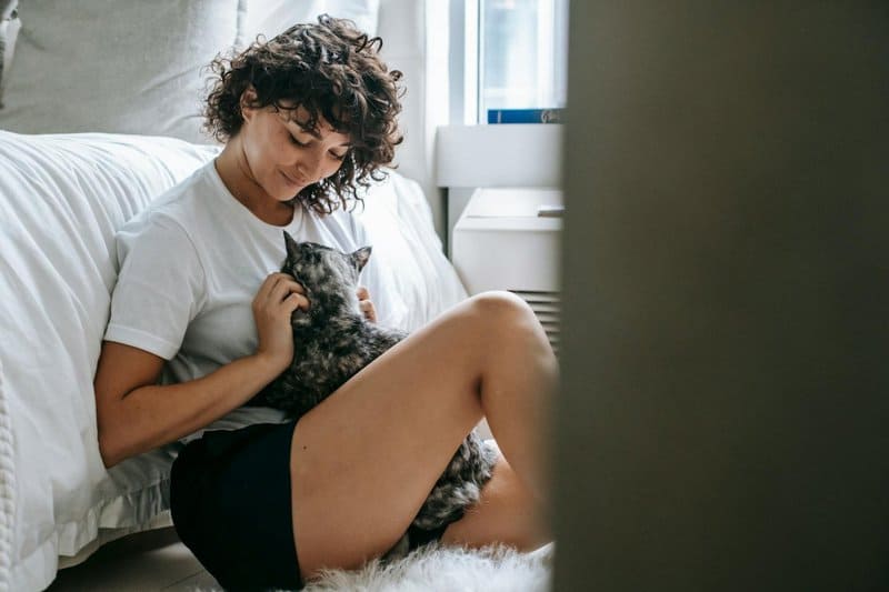 15 Behaviors That Show Your Cat Has Chosen You as Its Family and 5 You Need To Be Concerned About
