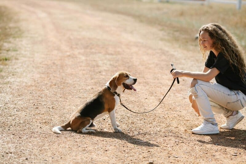 How long should I walk my dog? And how often? Tips to keep your pup healthy.