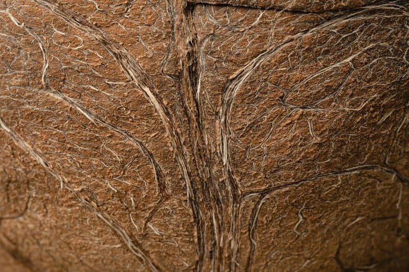 Amazing View Of The Southern Ring Nebula Via The James Webb Space Telescope