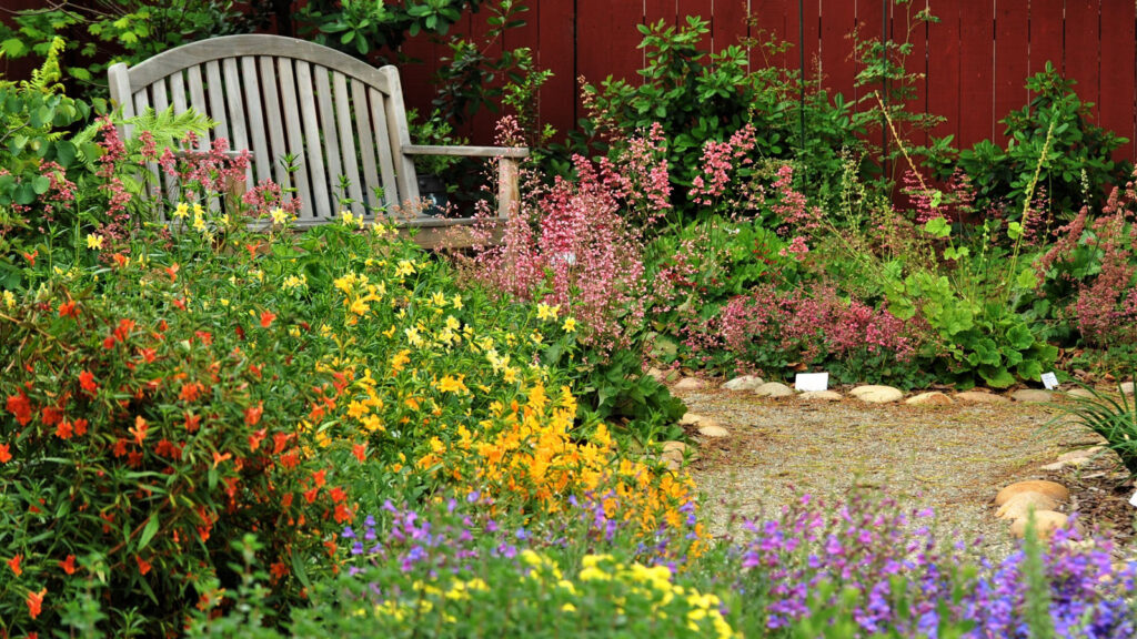 25 Pollinator-Friendly Plants to Support Local Ecosystems in Your Backyard