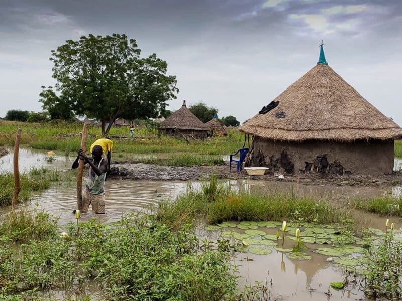 Africa is Literally Splitting in Half &#8211; Here&#8217;s What Scientists Say Will Happen Next