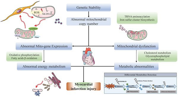 Scientists Discover Unknown Lifeform They Are Unable to Explain