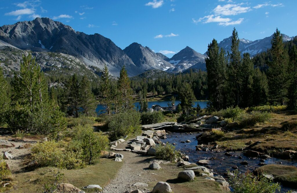 27 &#8220;Pests&#8221; and Their Surprising Role in the Ecosystem