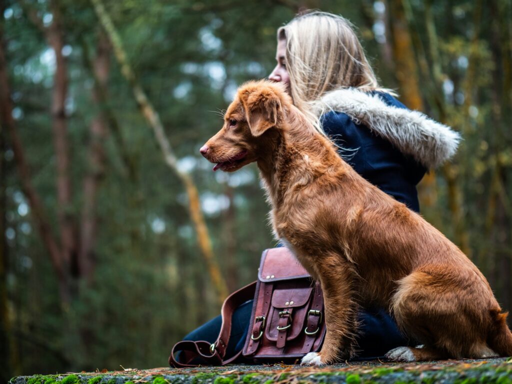 How long should I walk my dog? And how often? Tips to keep your pup healthy.