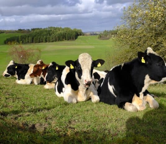 30 Superstitions That Science Has Proven True (Ranked)