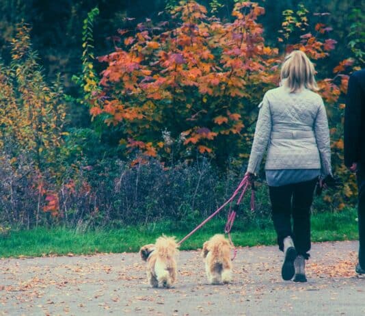 According to Doctors, These Are the Best Ways to Lose Weight Naturally