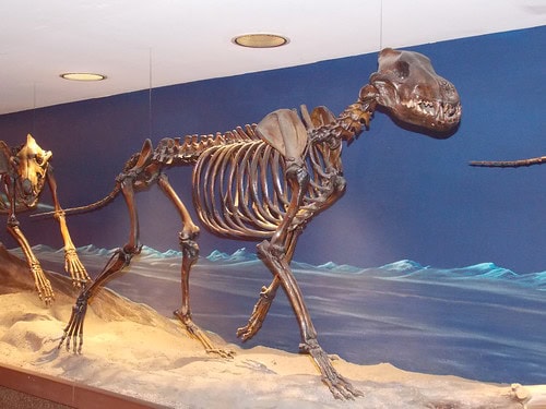 Scientists Furious: Company Claims It &#8216;De-Extincted&#8217; Dire Wolves But They&#8217;re Just Fake