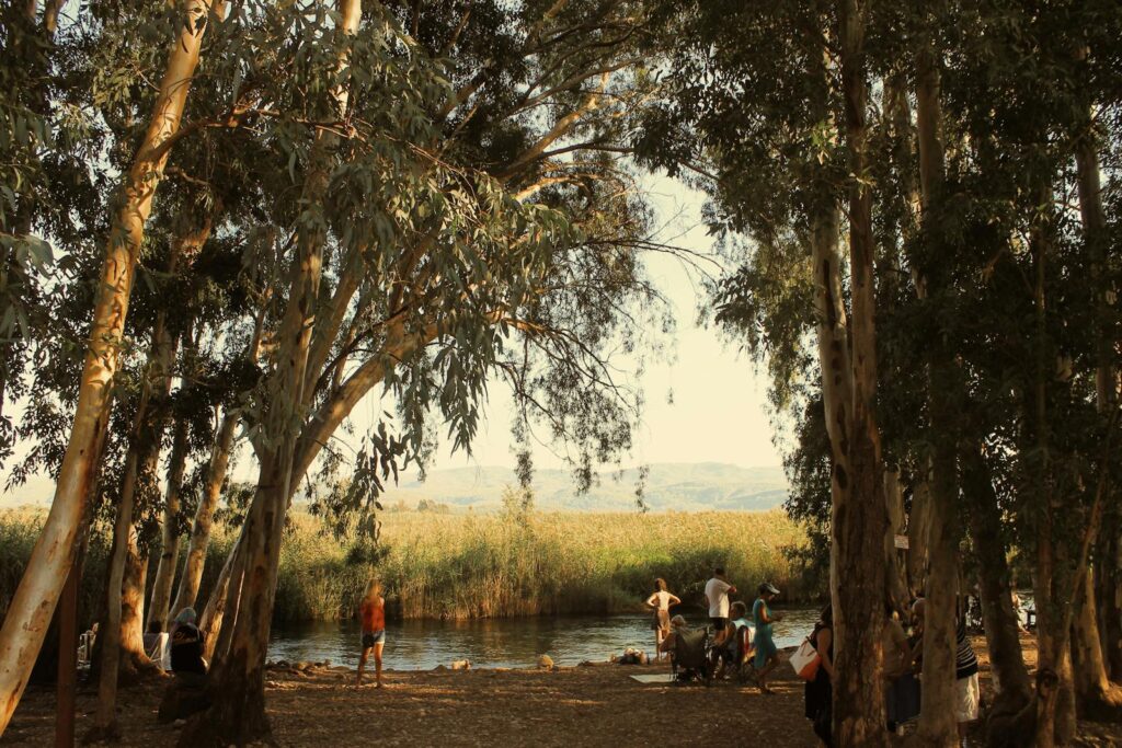 25 Plants That Literally Talk to Each Other (And How They Do It)