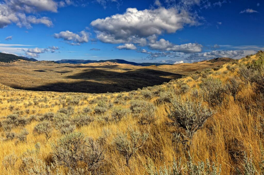 7 Fascinating Ways Plants Smell Danger (Plus 18 Species With the Best Noses)