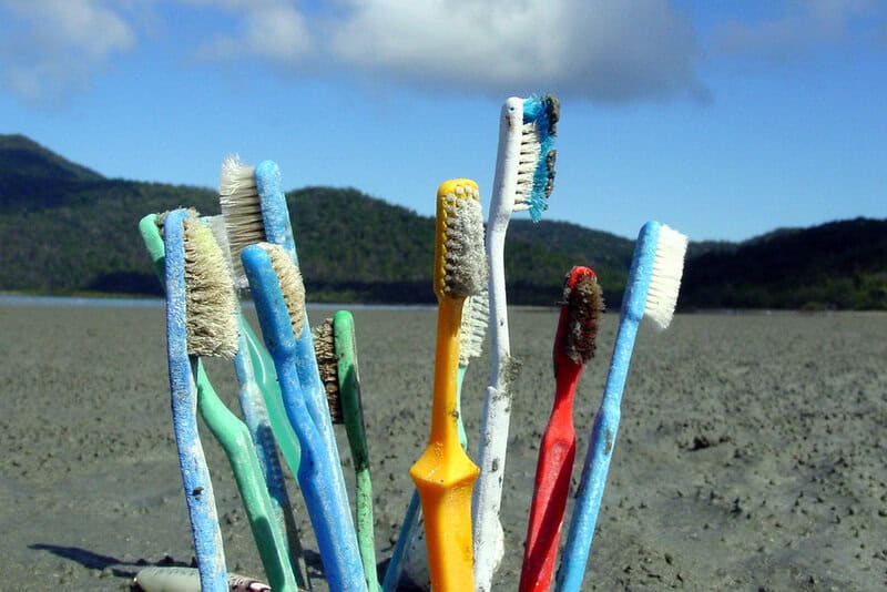 I&#8217;m a Marine Biologist—Here Are 28 Shocking Things I&#8217;ve Found in Ocean Plastic