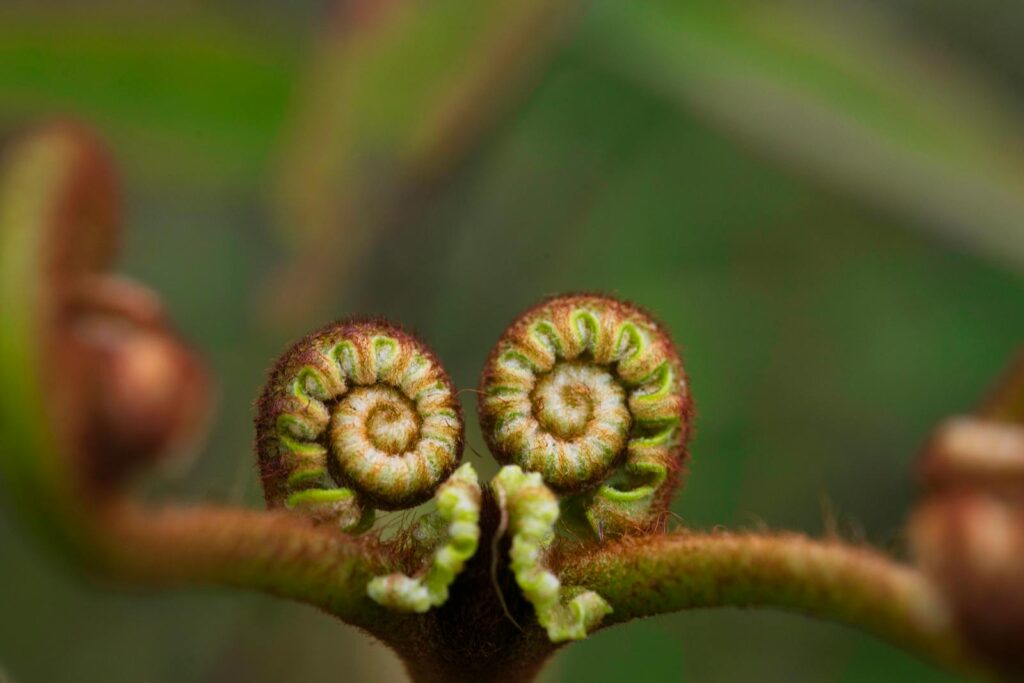 5 Surprising Ways Plants Taste Their World (Plus 22 Species That Do It Best)