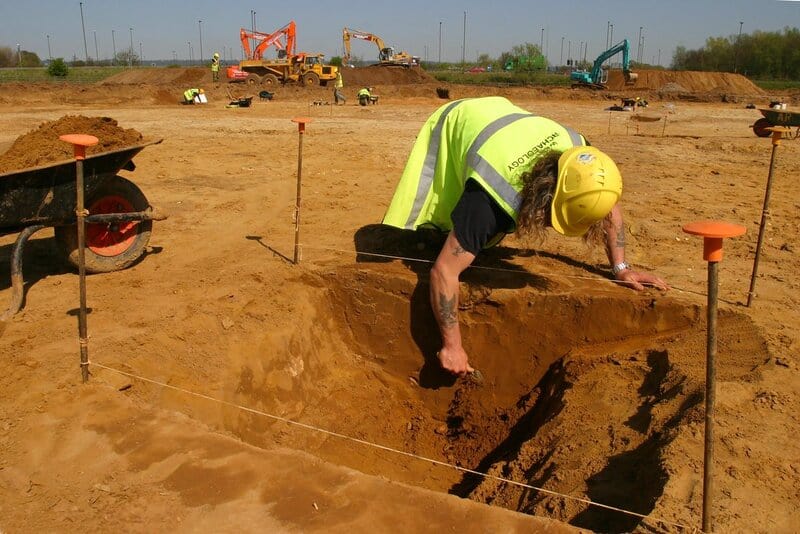 The Elephant Graveyards Are Real—And Scientists Finally Know Why They Exist