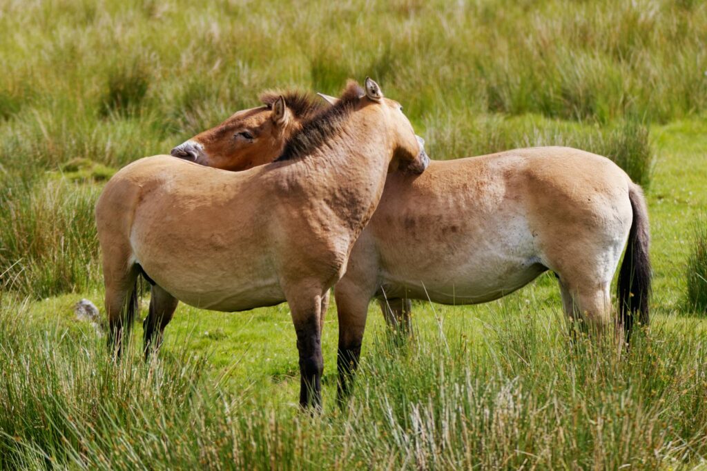 What Happens When Nature Fights Back: 24 Species That Refuse to Go Quietly