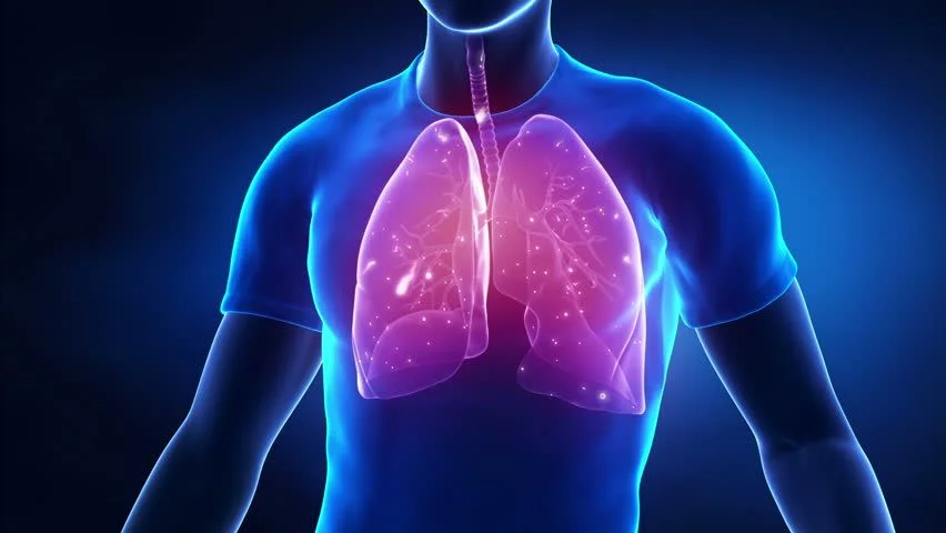 4 Organs You&#8217;ll Be Able to Regrow from Your Own Cells by 2035