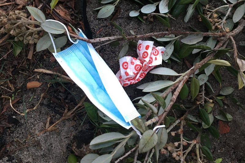 I&#8217;m a Marine Biologist—Here Are 28 Shocking Things I&#8217;ve Found in Ocean Plastic