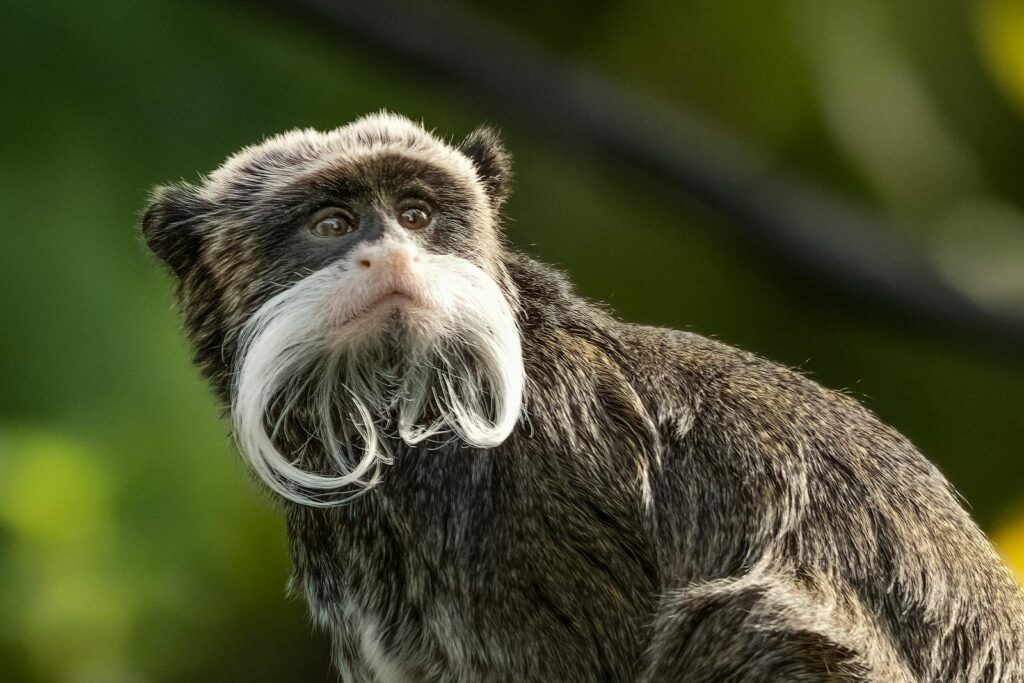 32 Animals That Are Surprisingly Good Parents