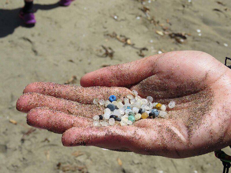I&#8217;m a Marine Biologist—Here Are 28 Shocking Things I&#8217;ve Found in Ocean Plastic