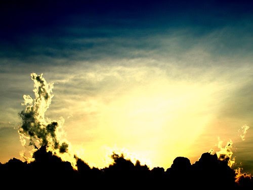 The Phantom Animals That Appear Right Before Major Disasters Strike