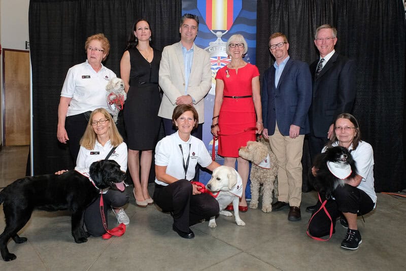 Pets are great, but they can bring stress and trade-offs