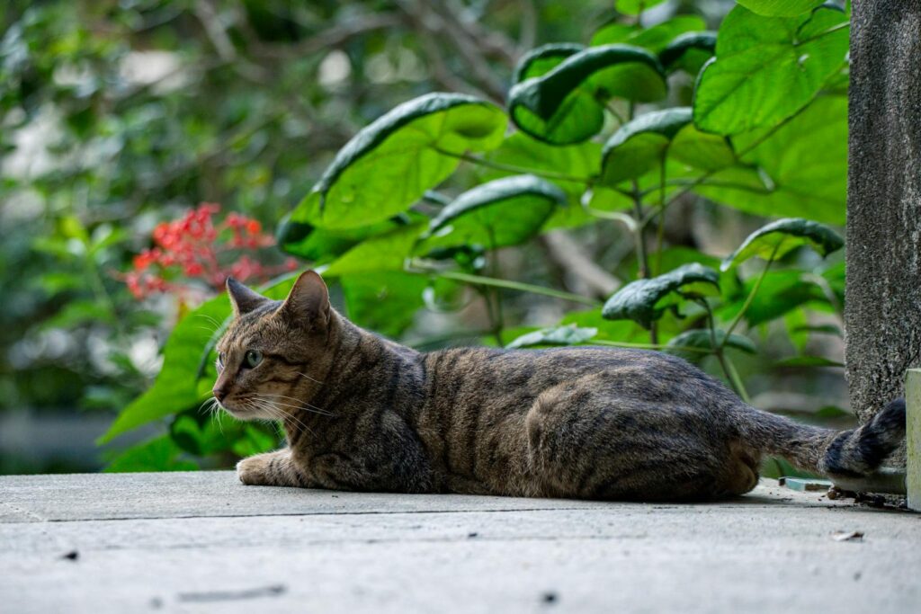 20 Plants Toxic to Pets: A Guide for Safe Home Gardening