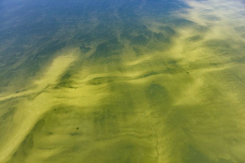 23 Devastating Changes I Witnessed During 6 Months in the Arctic