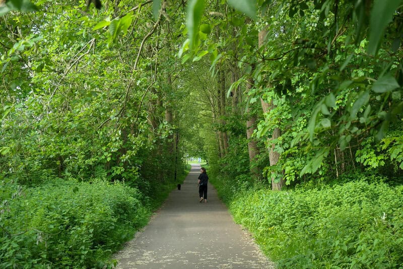 25 Things Successful People Do Before 8 AM That Transform Their Entire Day