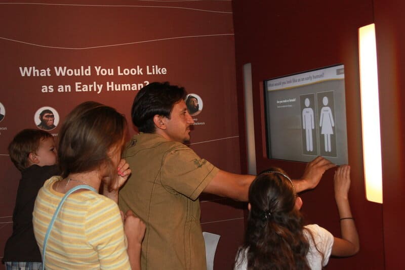 Farmers Dug Up a 300,000-Year-Old Skull. It’s Unlike Any Human Ancestor We’ve Ever Seen.