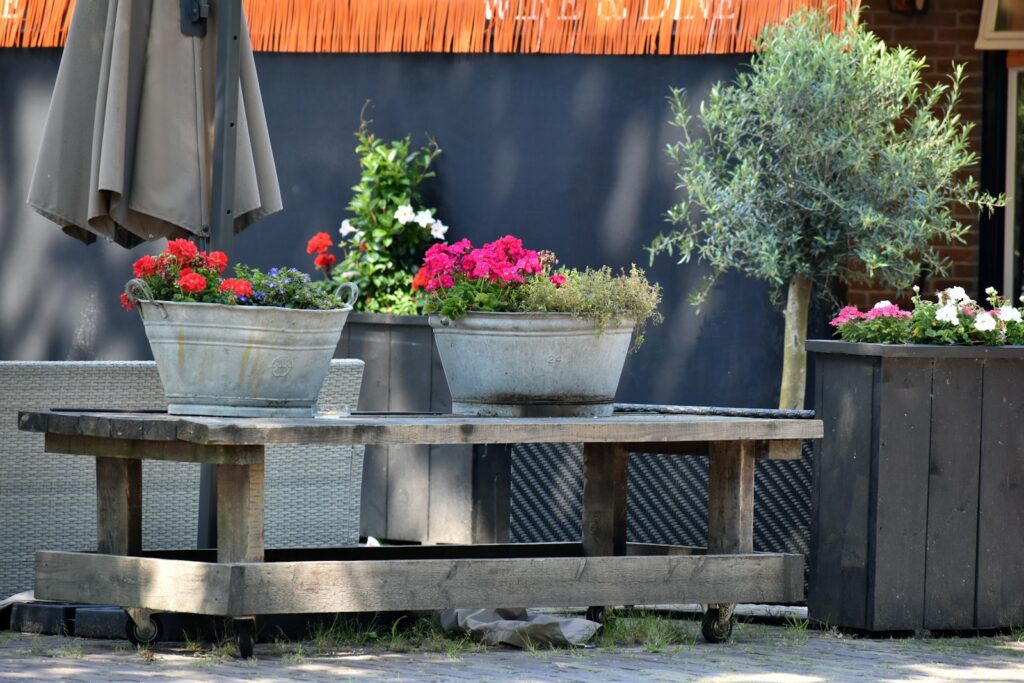 How Urban Gardening is Transforming Cityscapes: Top Tips for Small Spaces