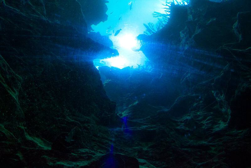 Only 0.001% of deep ocean has ever been explored by humans — an area equal to the size of Rhode Island