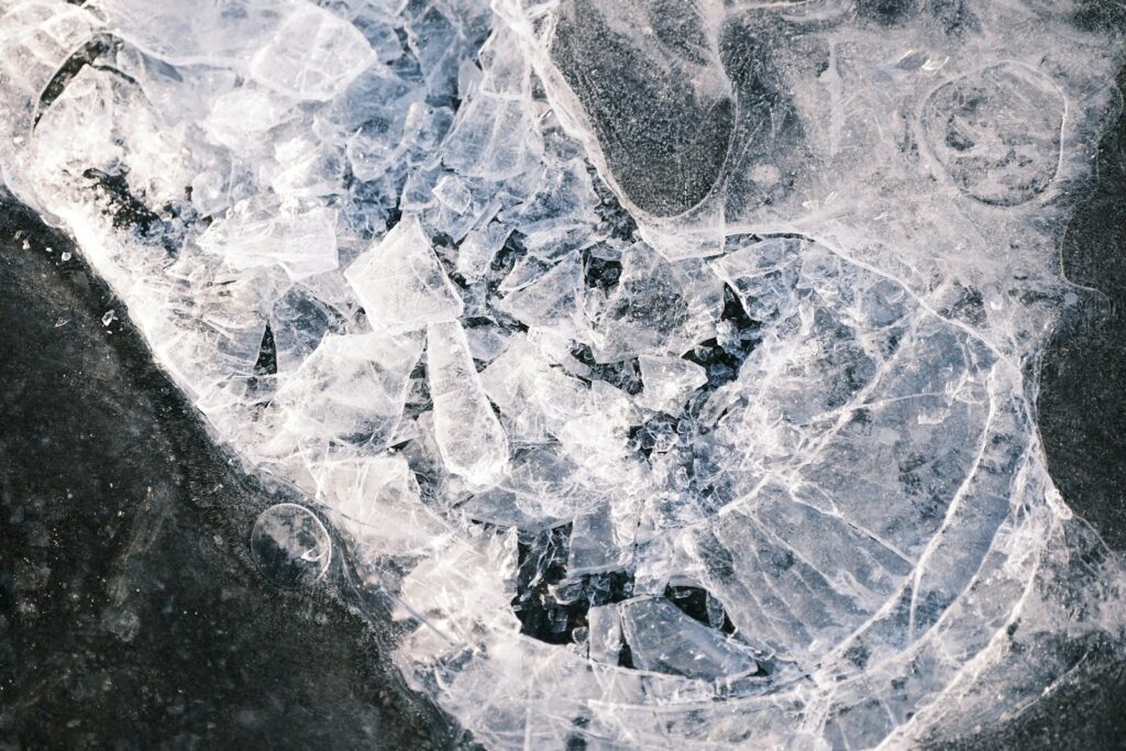 Birds Were Nesting in the Arctic 73 Million Years Ago — And They Lived Alongside Dinosaurs