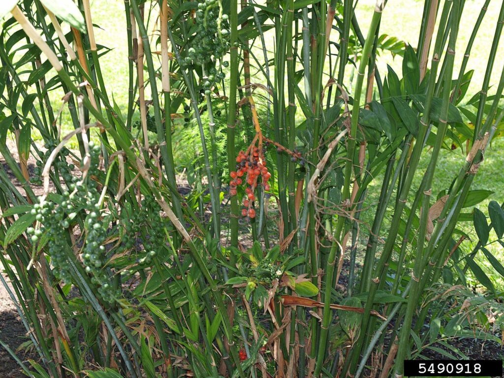 24 Houseplants That Actually Clean Your Air (Most Don&#8217;t Do Anything)