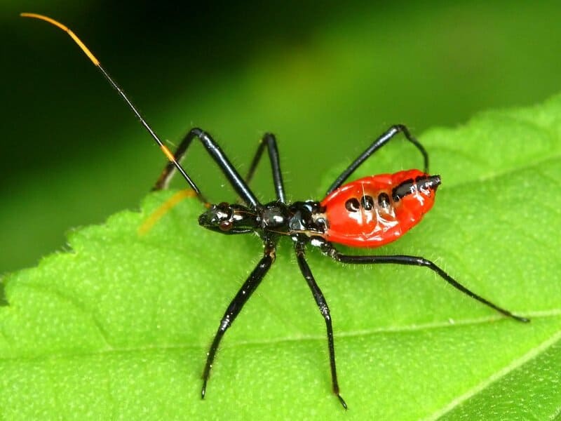 The most brutal hunters on Earth aren&#8217;t what you think: 21 predator strategies that redefine deadly