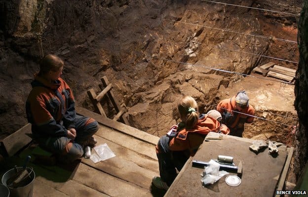 The Lab Accident That Changed Everything We Know About Human Evolution