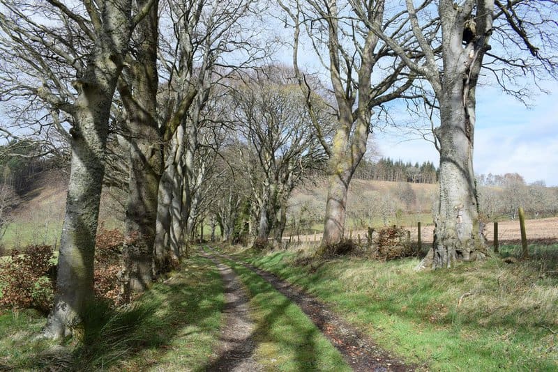 25 Plants That Literally Talk to Each Other (And How They Do It)