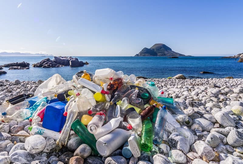 I&#8217;m a Marine Biologist—Here Are 28 Shocking Things I&#8217;ve Found in Ocean Plastic