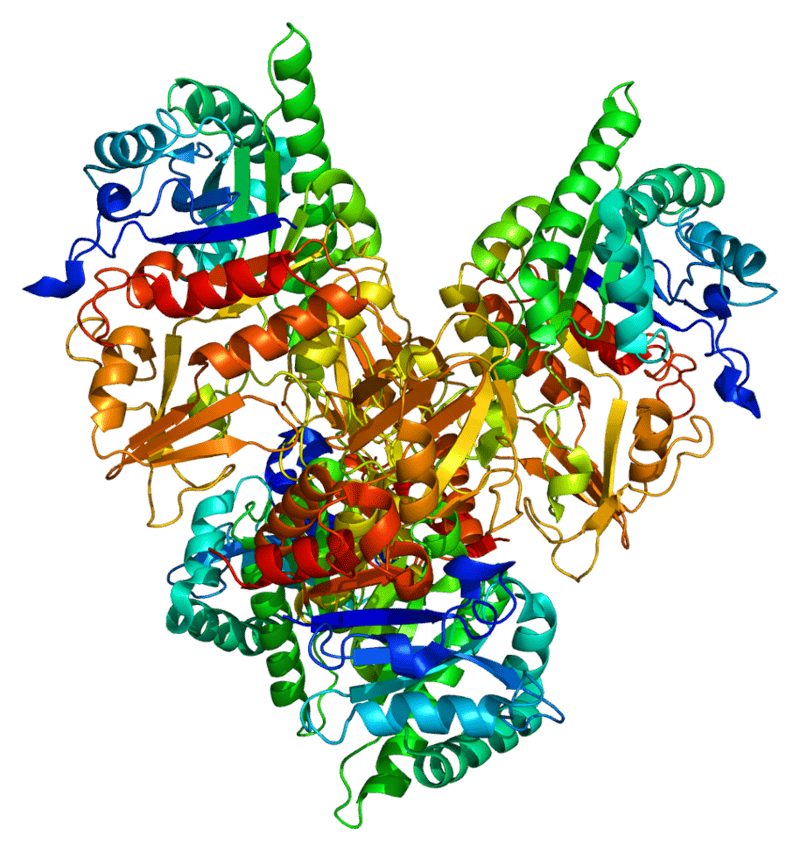 Breakthrough Study Uncovers New Biomarkers for Early Detection of Alzheimer&#8217;s Disease