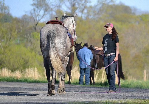Animal Intelligence Will Blow Your Mind — 34 Incredible Facts About How Smart Pets Really Are