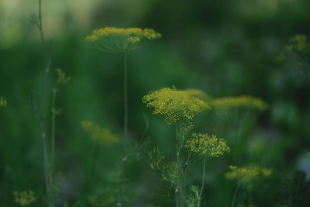 30 Highly Useful Plants To Add To Your Garden