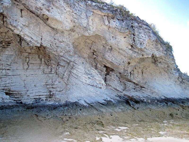 Were The Odds Ever In Our Favor? 25 Statistical Proofs That Life Is A Miracle