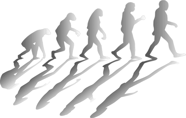 Farmers Dug Up a 300,000-Year-Old Skull. It’s Unlike Any Human Ancestor We’ve Ever Seen.