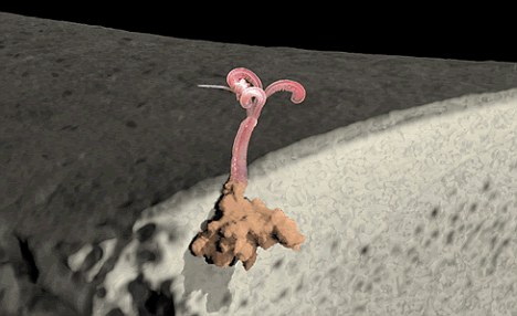 38 Bizarre Deep-Sea Creatures Scientists Discovered in the Last Decade