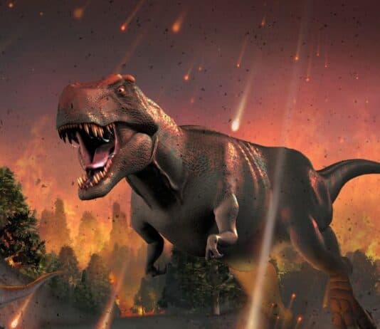 20 Creatures That Survived Mass Extinctions — And How They Did It