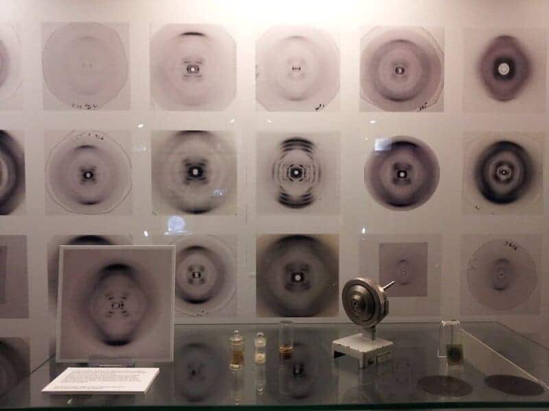 10 Times Scientists Risked Their Lives for Discovery