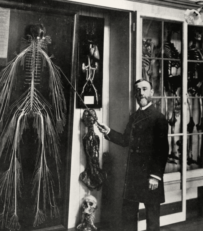 10 Times Scientists Risked Their Lives for Discovery