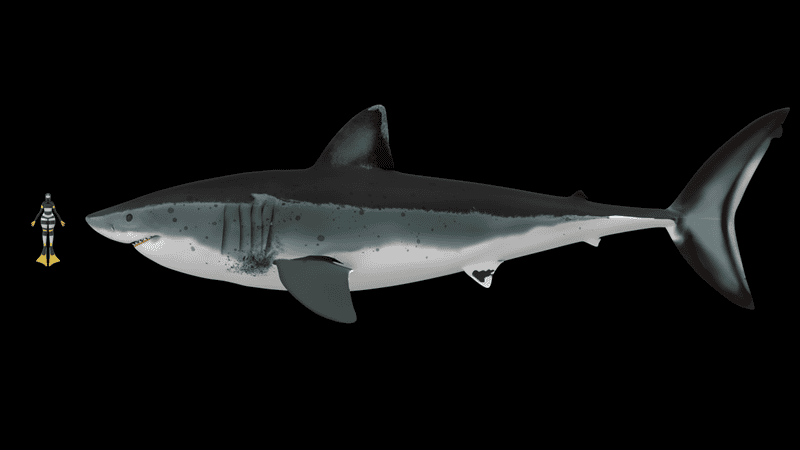 10 Prehistoric Creatures That Were Scarier Than Dinosaurs