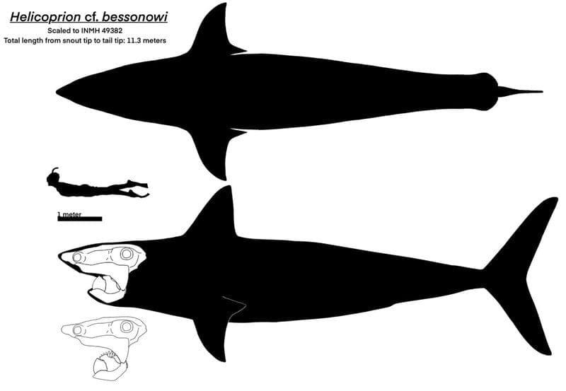 10 Prehistoric Creatures That Were Scarier Than Dinosaurs
