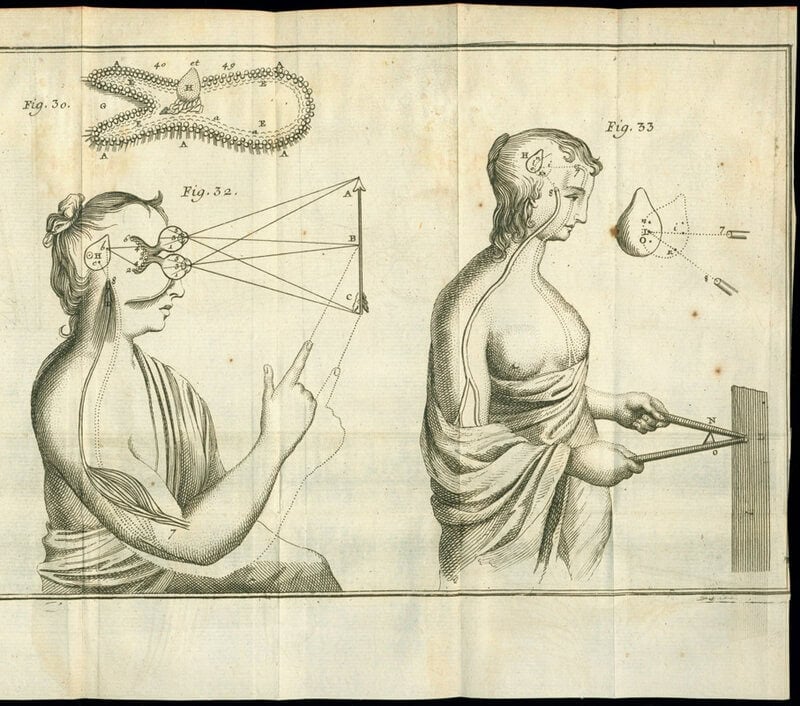 15 Theories About Consciousness That Will Bend Your Brain